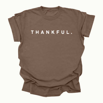 THANKFUL T-Shirt - Fall, Thanksgiving t-shirt